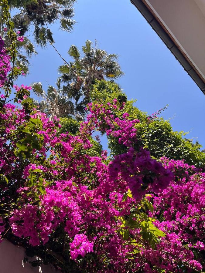 Palma Rosa Hotel Camyuva Bagian luar foto