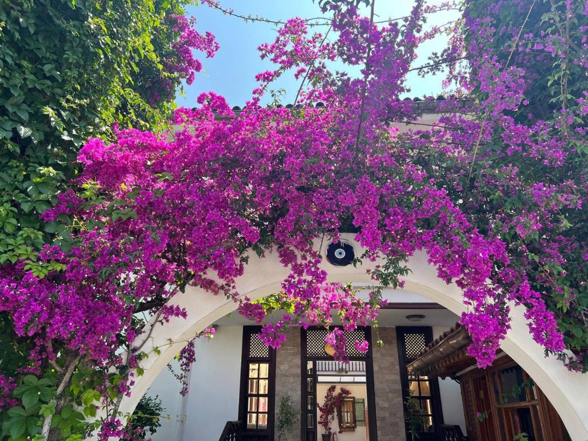 Palma Rosa Hotel Camyuva Bagian luar foto